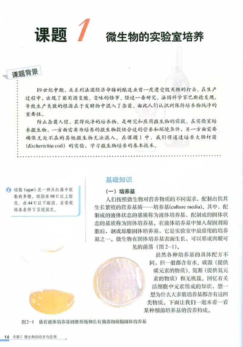 高中生物选修1生物技术实践_4-教培资料-26年最新资料-同步更新_初中高中教资_03科三专项（进去保存报考的学科即可）_02科三专项（笔记真题思维导图教学设计版本二）