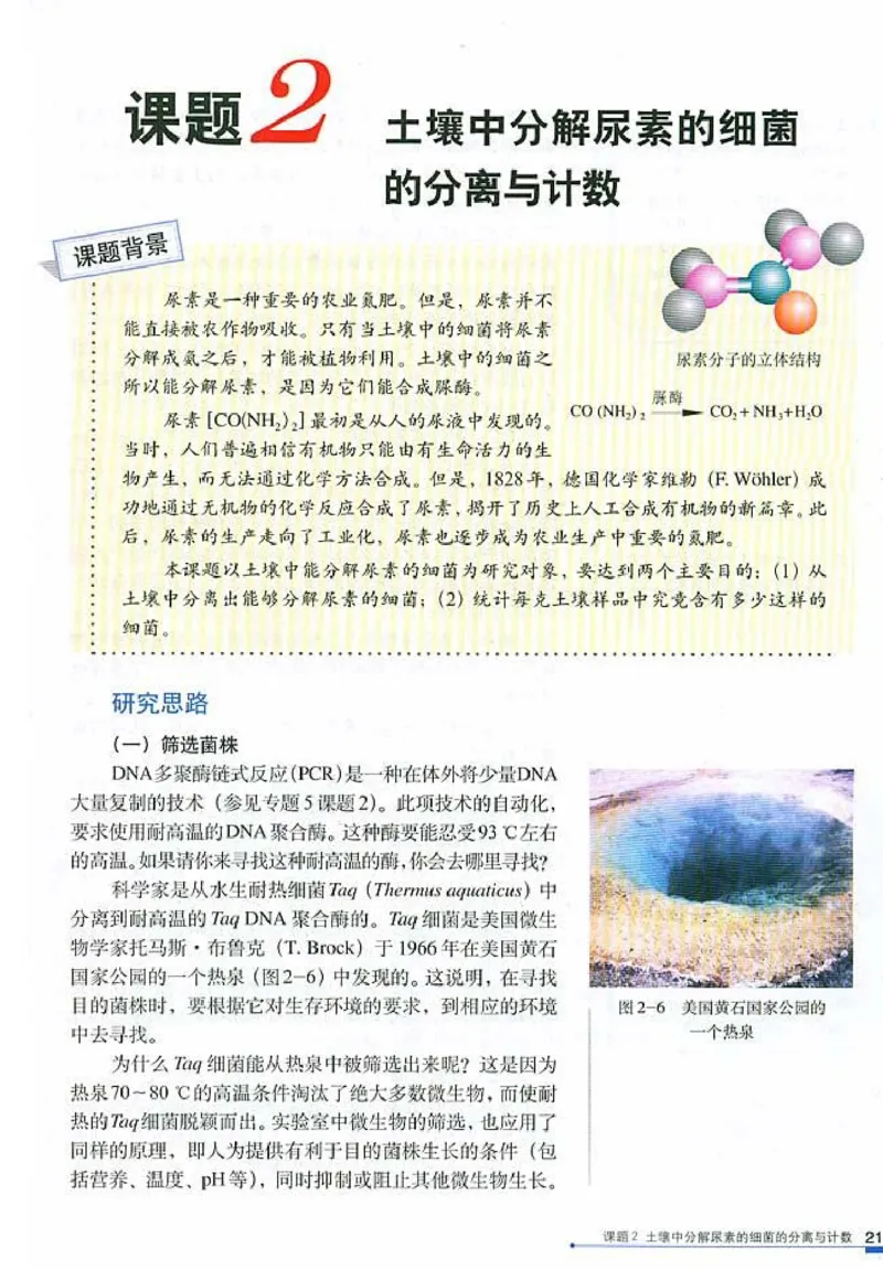 高中生物选修1生物技术实践_4-教培资料-26年最新资料-同步更新_初中高中教资_03科三专项（进去保存报考的学科即可）_02科三专项（笔记真题思维导图教学设计版本二）