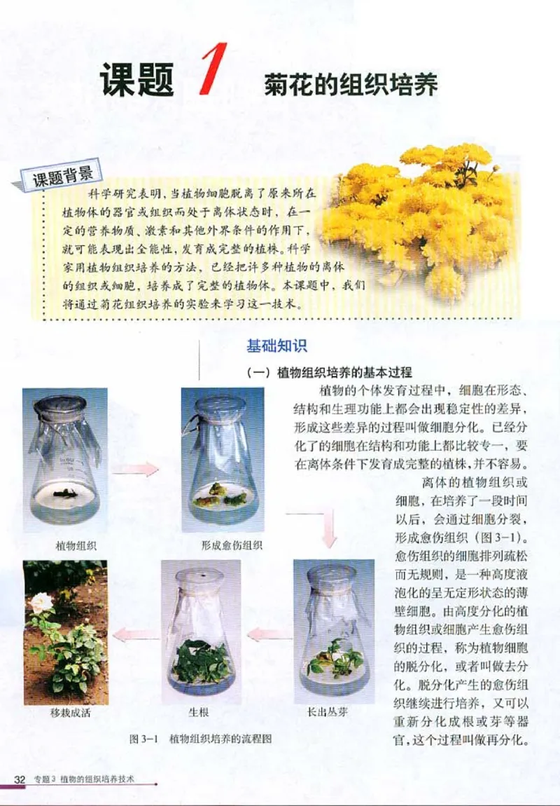 高中生物选修1生物技术实践_4-教培资料-26年最新资料-同步更新_初中高中教资_03科三专项（进去保存报考的学科即可）_02科三专项（笔记真题思维导图教学设计版本二）