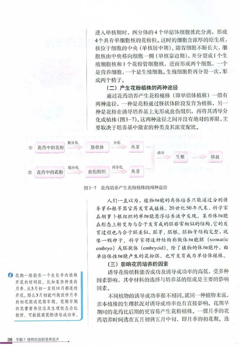高中生物选修1生物技术实践_4-教培资料-26年最新资料-同步更新_初中高中教资_03科三专项（进去保存报考的学科即可）_02科三专项（笔记真题思维导图教学设计版本二）