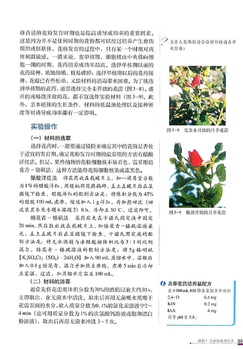 高中生物选修1生物技术实践_4-教培资料-26年最新资料-同步更新_初中高中教资_03科三专项（进去保存报考的学科即可）_02科三专项（笔记真题思维导图教学设计版本二）