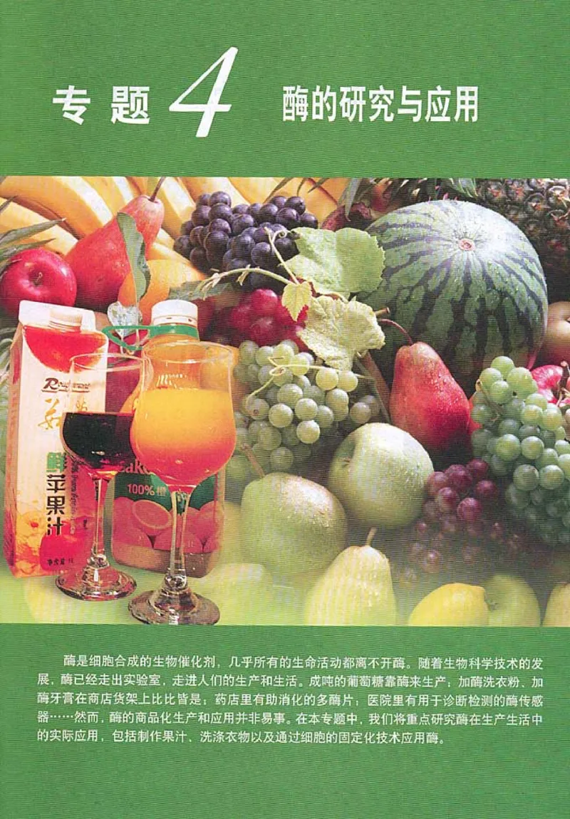高中生物选修1生物技术实践_4-教培资料-26年最新资料-同步更新_初中高中教资_03科三专项（进去保存报考的学科即可）_02科三专项（笔记真题思维导图教学设计版本二）
