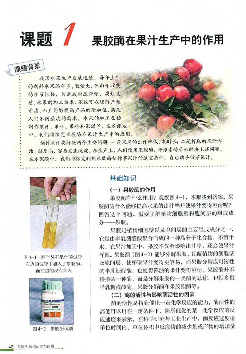 高中生物选修1生物技术实践_4-教培资料-26年最新资料-同步更新_初中高中教资_03科三专项（进去保存报考的学科即可）_02科三专项（笔记真题思维导图教学设计版本二）