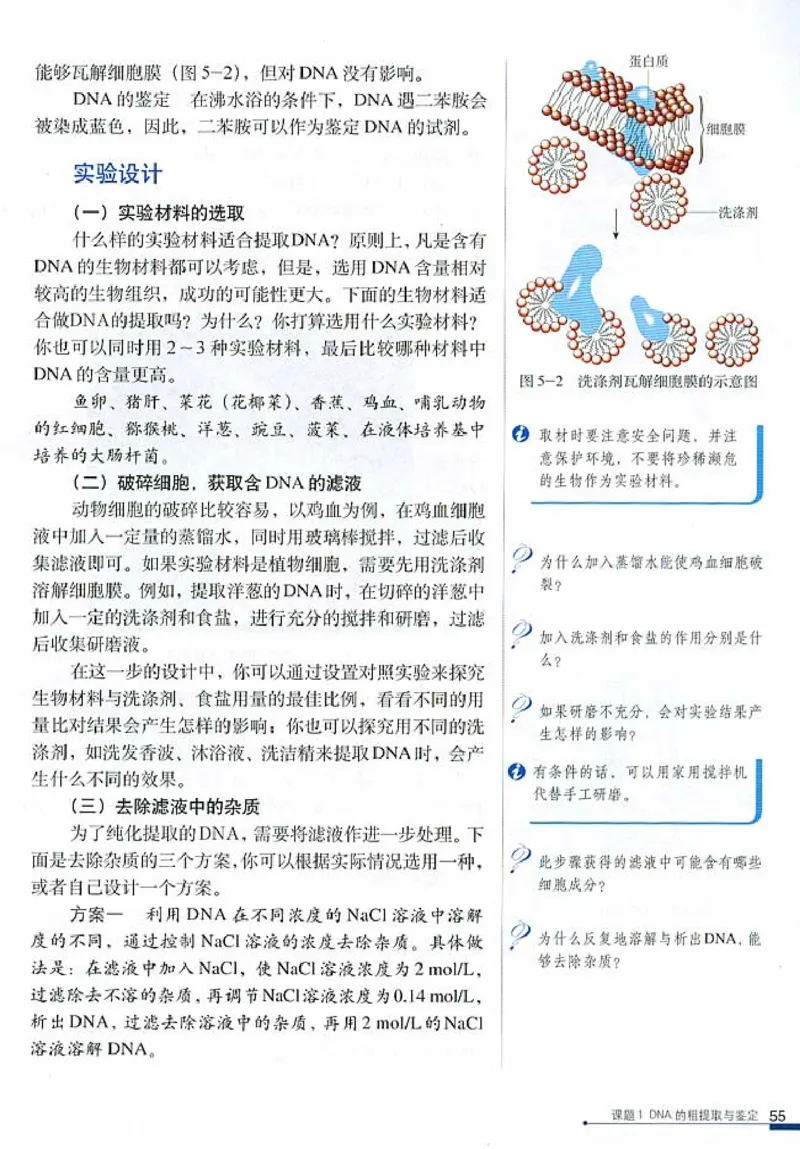 高中生物选修1生物技术实践_4-教培资料-26年最新资料-同步更新_初中高中教资_03科三专项（进去保存报考的学科即可）_02科三专项（笔记真题思维导图教学设计版本二）