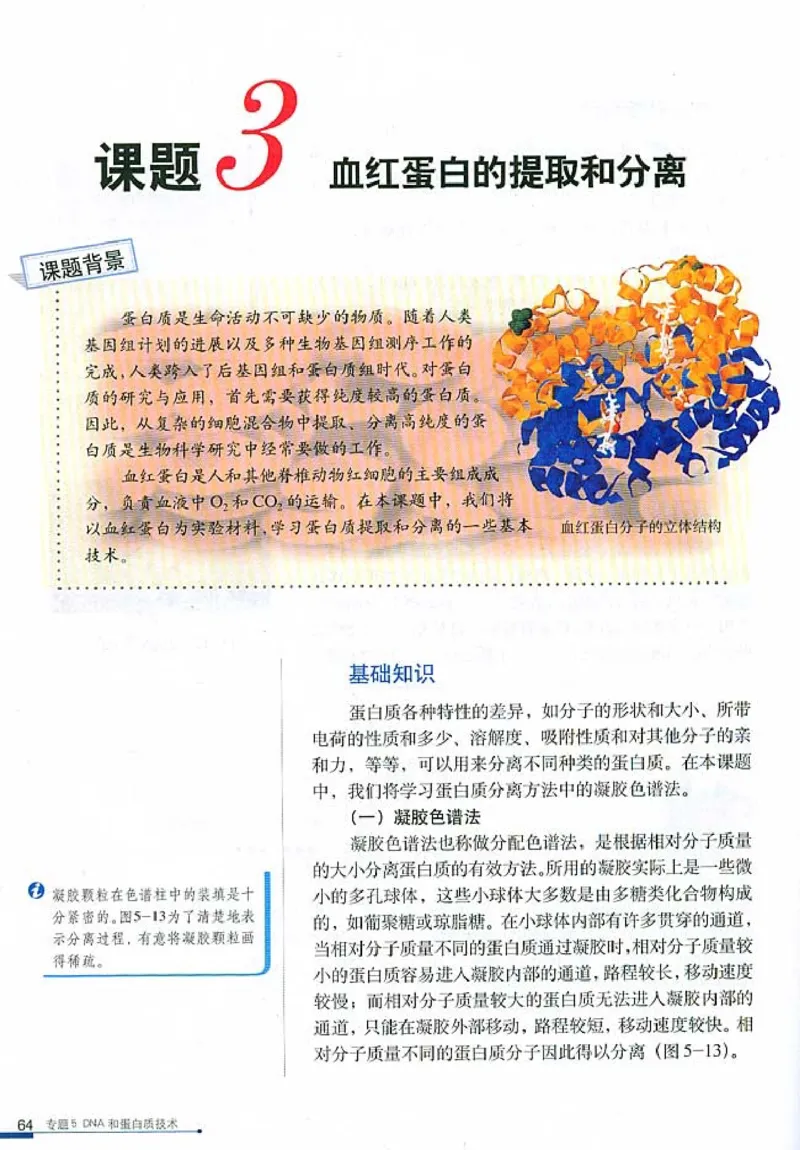 高中生物选修1生物技术实践_4-教培资料-26年最新资料-同步更新_初中高中教资_03科三专项（进去保存报考的学科即可）_02科三专项（笔记真题思维导图教学设计版本二）