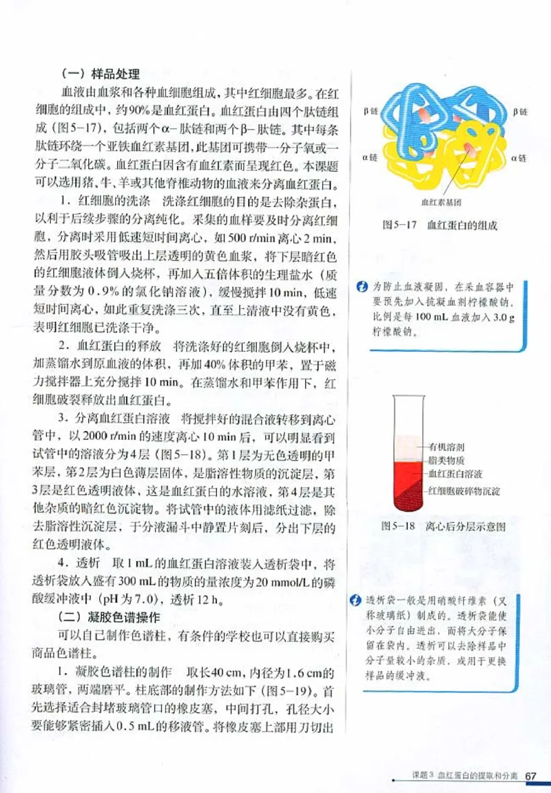 高中生物选修1生物技术实践_4-教培资料-26年最新资料-同步更新_初中高中教资_03科三专项（进去保存报考的学科即可）_02科三专项（笔记真题思维导图教学设计版本二）