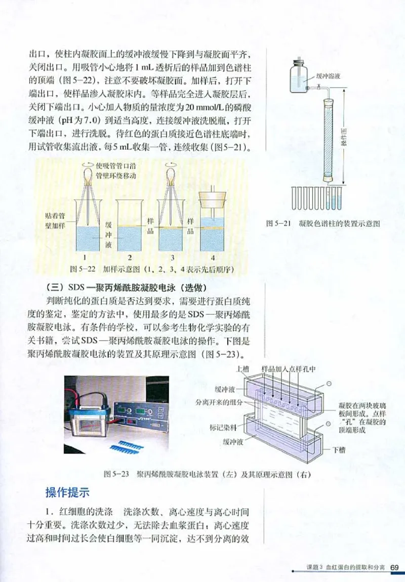 高中生物选修1生物技术实践_4-教培资料-26年最新资料-同步更新_初中高中教资_03科三专项（进去保存报考的学科即可）_02科三专项（笔记真题思维导图教学设计版本二）