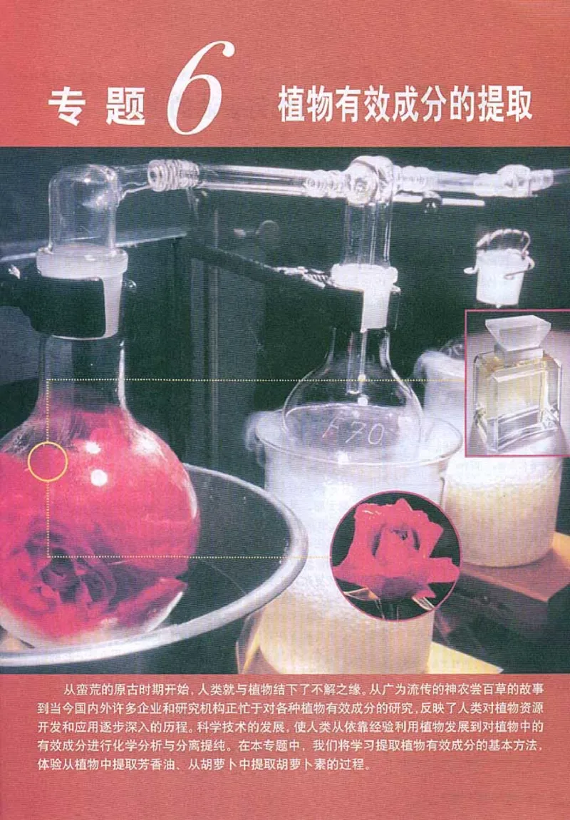 高中生物选修1生物技术实践_4-教培资料-26年最新资料-同步更新_初中高中教资_03科三专项（进去保存报考的学科即可）_02科三专项（笔记真题思维导图教学设计版本二）