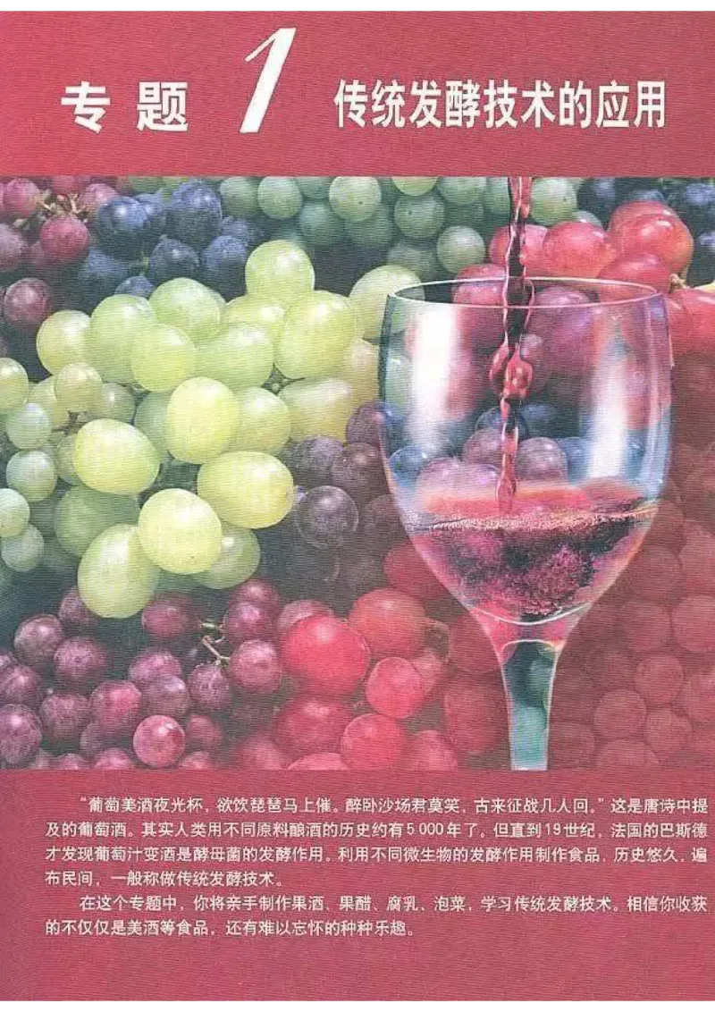 高中生物选修1生物技术实践_4-教培资料-26年最新资料-同步更新_初中高中教资_03科三专项（进去保存报考的学科即可）_02科三专项（笔记真题思维导图教学设计版本二）