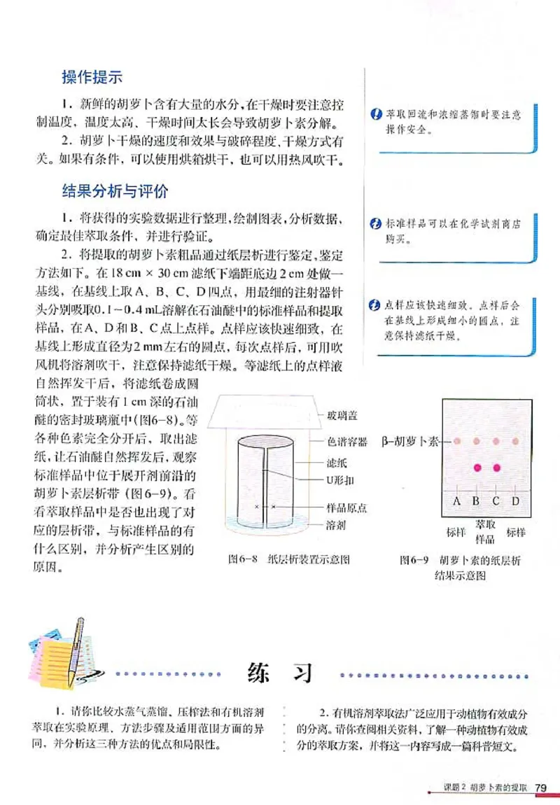 高中生物选修1生物技术实践_4-教培资料-26年最新资料-同步更新_初中高中教资_03科三专项（进去保存报考的学科即可）_02科三专项（笔记真题思维导图教学设计版本二）