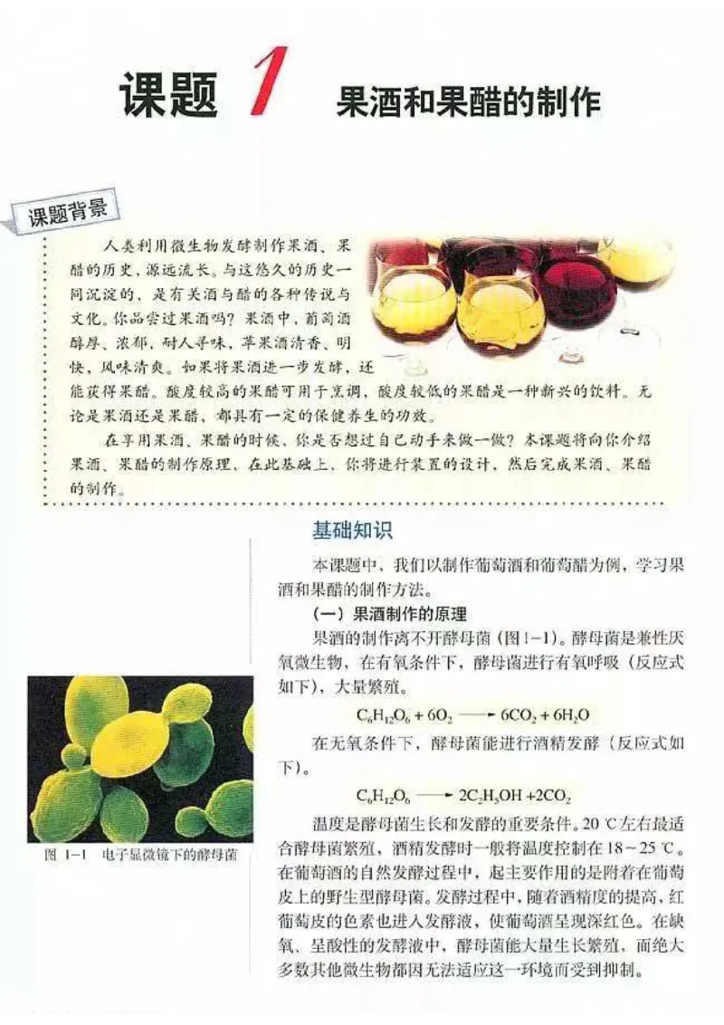 高中生物选修1生物技术实践_4-教培资料-26年最新资料-同步更新_初中高中教资_03科三专项（进去保存报考的学科即可）_02科三专项（笔记真题思维导图教学设计版本二）