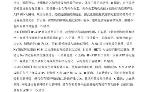 一轮一辽吉黑蒙（L）生物学答案_2025年10月_2510182026届百师联盟高三上学期第一次调研考试（10月）（全科）_2026届百师联盟高三上学期第一次调研考试生物试卷（含答案）