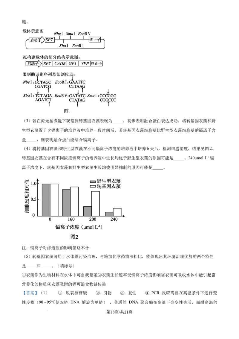 2025《高考真题&bull;河北》生物真题(解析版)_2025《全国高考真题卷》各地方卷_2025《高考真题&bull;河北》