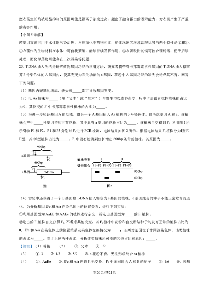 2025《高考真题&bull;河北》生物真题(解析版)_2025《全国高考真题卷》各地方卷_2025《高考真题&bull;河北》