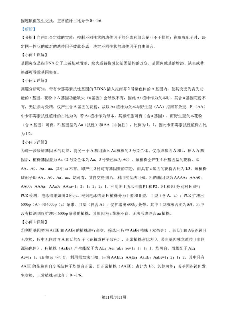 2025《高考真题&bull;河北》生物真题(解析版)_2025《全国高考真题卷》各地方卷_2025《高考真题&bull;河北》