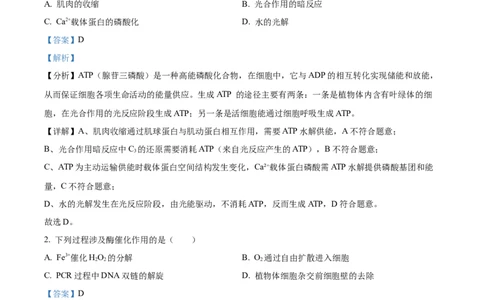 2025《高考真题&bull;河北》生物真题(解析版)_2025《全国高考真题卷》各地方卷_2025《高考真题&bull;河北》