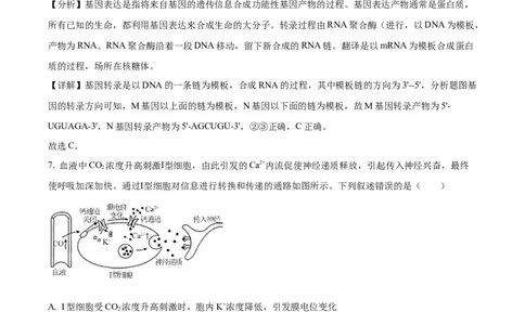 2025《高考真题&bull;河北》生物真题(解析版)_2025《全国高考真题卷》各地方卷_2025《高考真题&bull;河北》