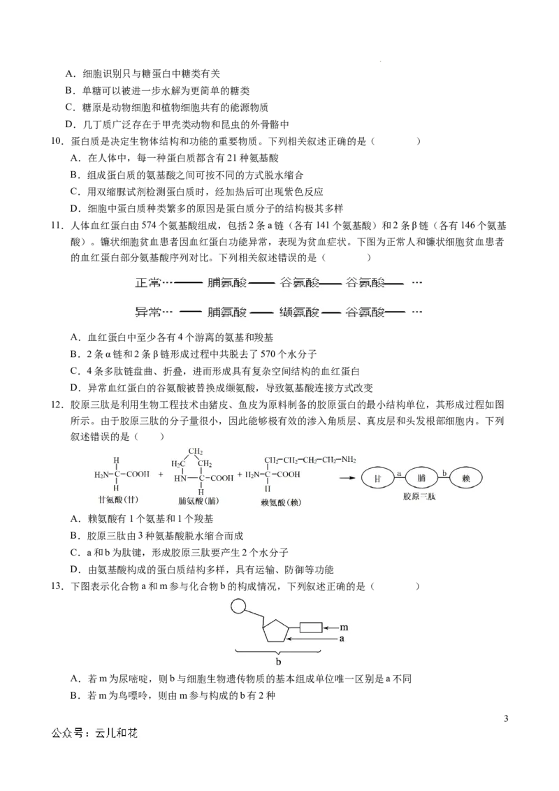 高一生物期中模拟卷测试范围：第1~4章（考试版A4）（新八省通用）_1多考区联考试卷_1014高一期中模拟卷（新八省专用）黄金卷：2024-2025学年高一上学期期中模拟考试