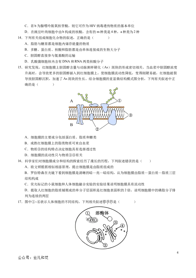 高一生物期中模拟卷测试范围：第1~4章（考试版A4）（新八省通用）_1多考区联考试卷_1014高一期中模拟卷（新八省专用）黄金卷：2024-2025学年高一上学期期中模拟考试