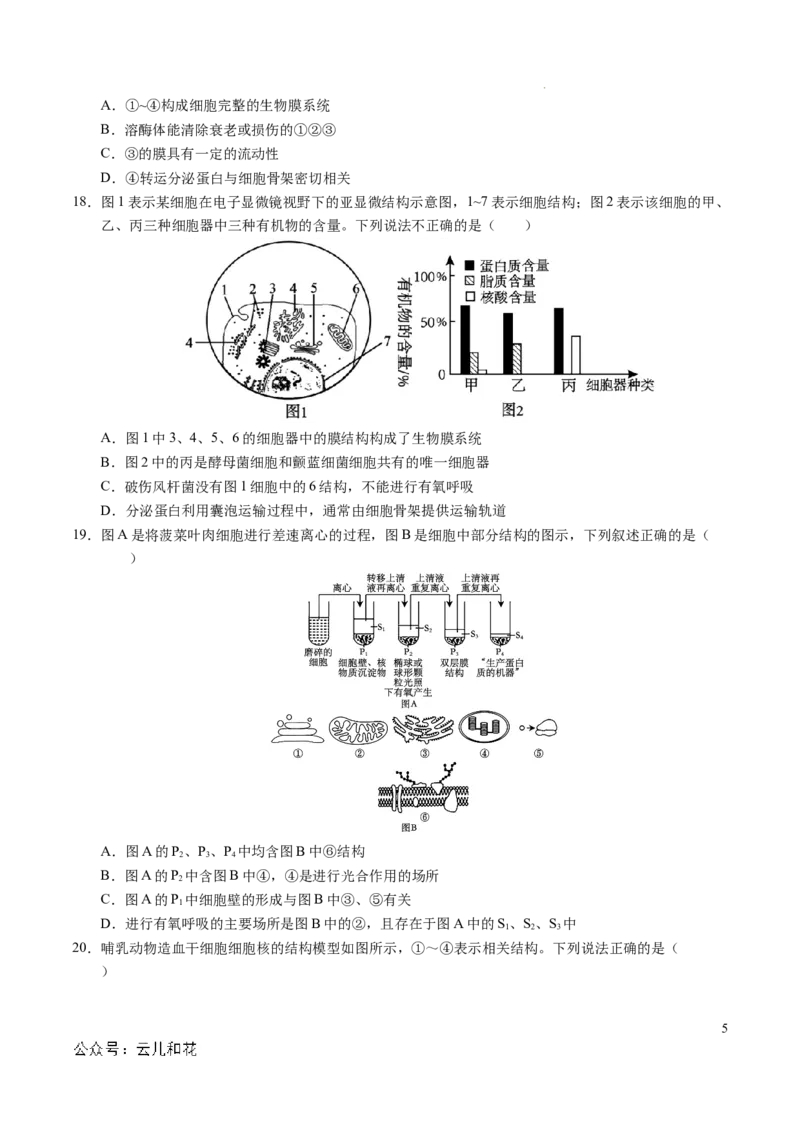 高一生物期中模拟卷测试范围：第1~4章（考试版A4）（新八省通用）_1多考区联考试卷_1014高一期中模拟卷（新八省专用）黄金卷：2024-2025学年高一上学期期中模拟考试