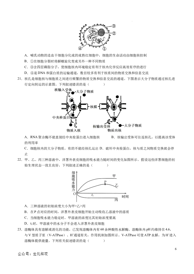 高一生物期中模拟卷测试范围：第1~4章（考试版A4）（新八省通用）_1多考区联考试卷_1014高一期中模拟卷（新八省专用）黄金卷：2024-2025学年高一上学期期中模拟考试