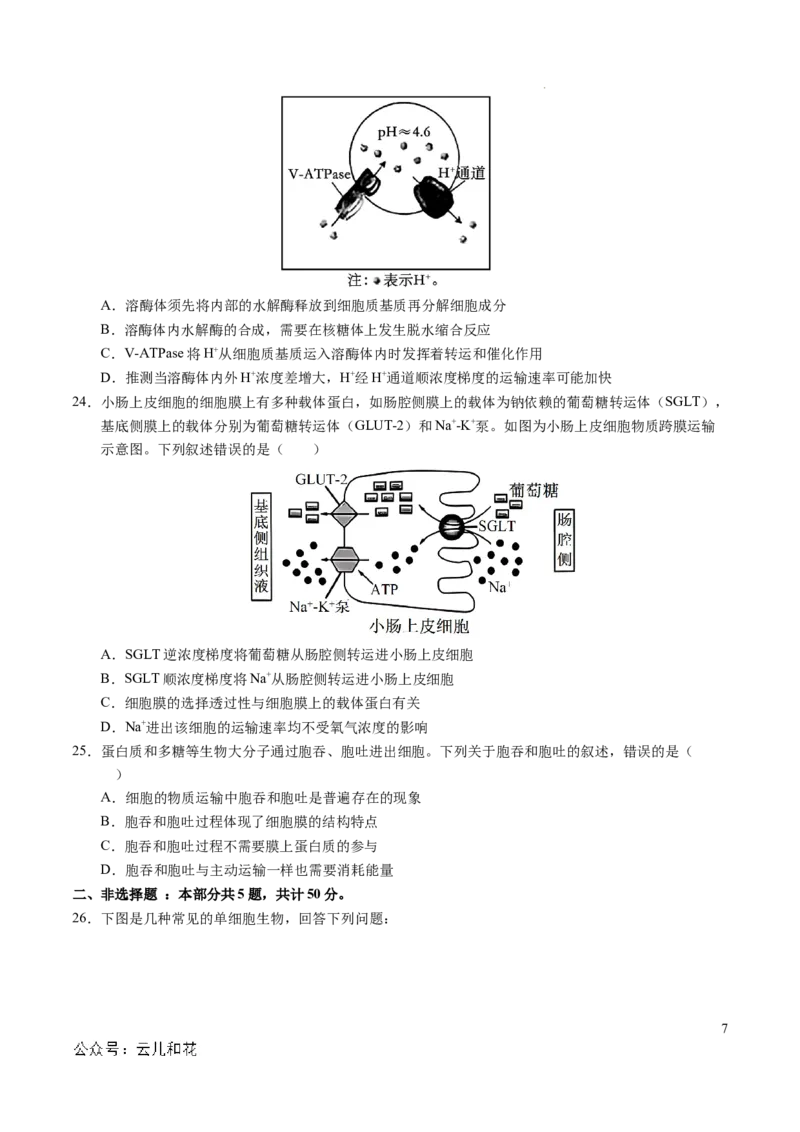 高一生物期中模拟卷测试范围：第1~4章（考试版A4）（新八省通用）_1多考区联考试卷_1014高一期中模拟卷（新八省专用）黄金卷：2024-2025学年高一上学期期中模拟考试