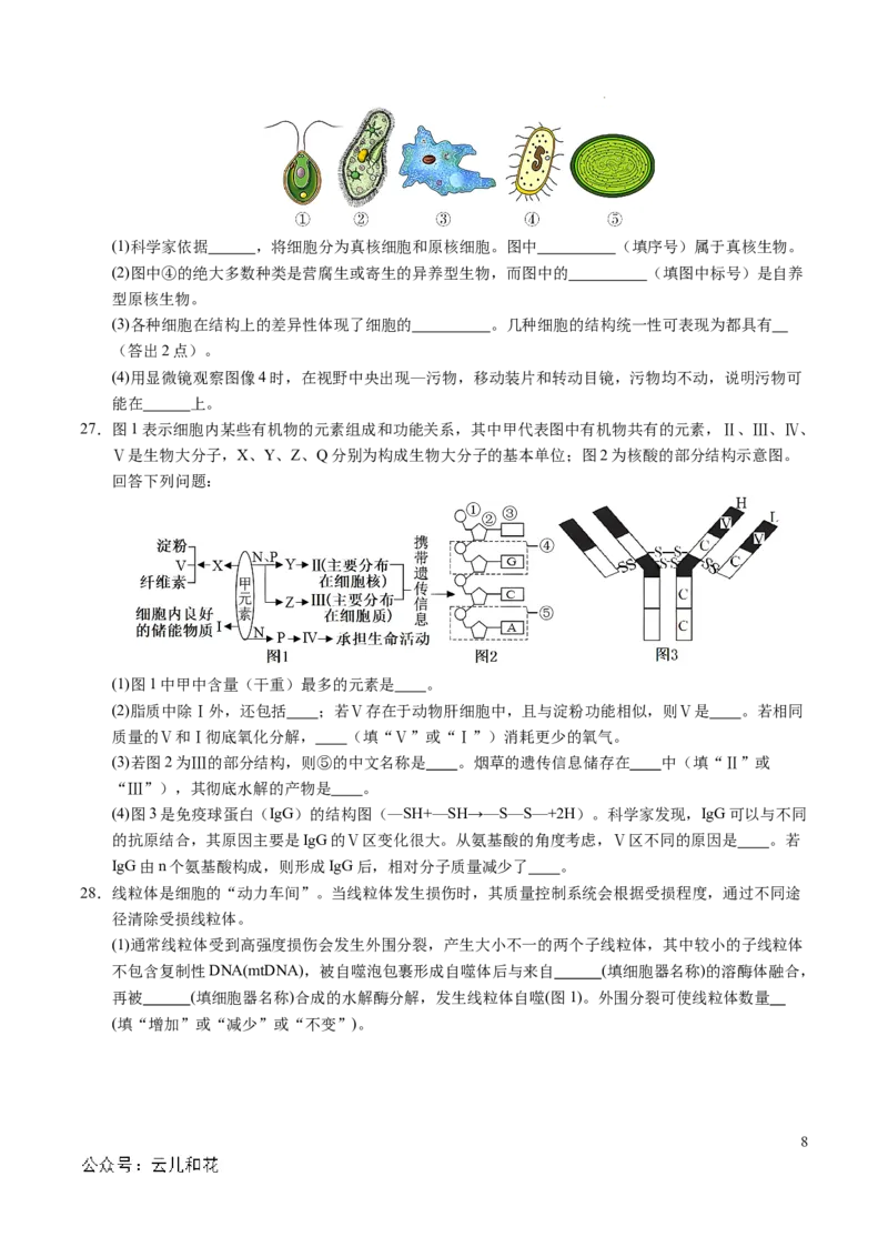 高一生物期中模拟卷测试范围：第1~4章（考试版A4）（新八省通用）_1多考区联考试卷_1014高一期中模拟卷（新八省专用）黄金卷：2024-2025学年高一上学期期中模拟考试