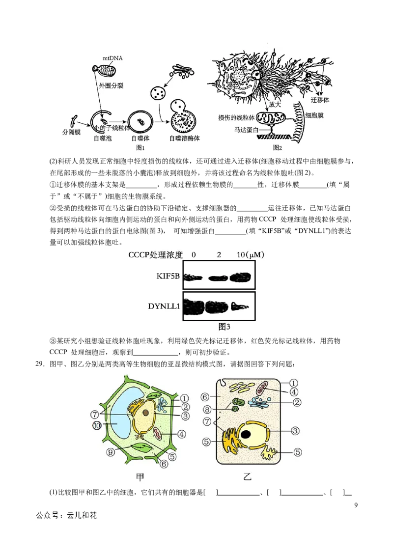 高一生物期中模拟卷测试范围：第1~4章（考试版A4）（新八省通用）_1多考区联考试卷_1014高一期中模拟卷（新八省专用）黄金卷：2024-2025学年高一上学期期中模拟考试