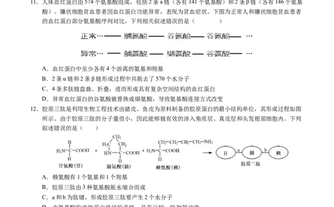 高一生物期中模拟卷测试范围：第1~4章（考试版A4）（新八省通用）_1多考区联考试卷_1014高一期中模拟卷（新八省专用）黄金卷：2024-2025学年高一上学期期中模拟考试