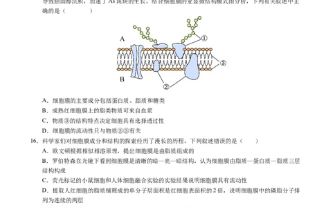 高一生物期中模拟卷测试范围：第1~4章（考试版A4）（新八省通用）_1多考区联考试卷_1014高一期中模拟卷（新八省专用）黄金卷：2024-2025学年高一上学期期中模拟考试