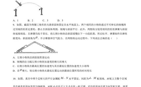 2025年高考物理试卷（河北）（空白卷）_26.河北-高考真题_2015-2025（河北）物理高考真题