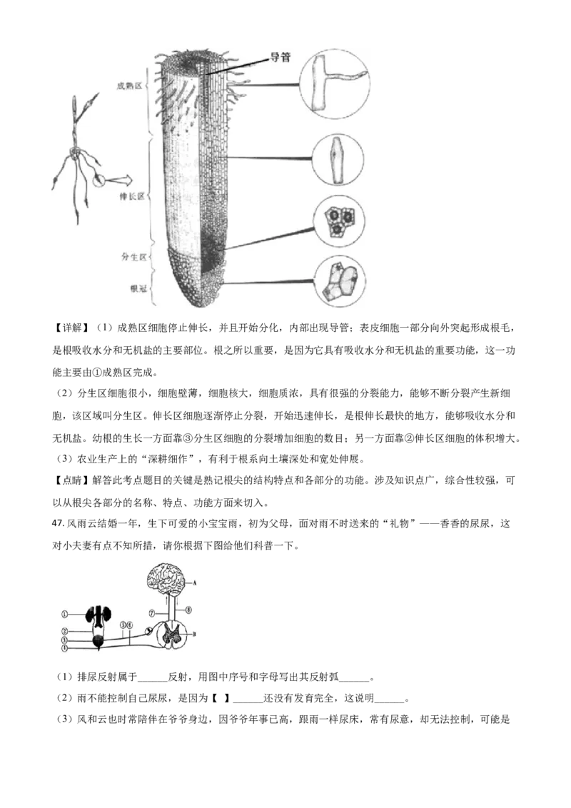 精品解析：湖南娄底市2020年中考生物试题（解析版）_中考真题_8.生物中考真题2015-2024年_2020生物真题74份_2020年中考真题解析生物(湖南娄底卷)精编word版