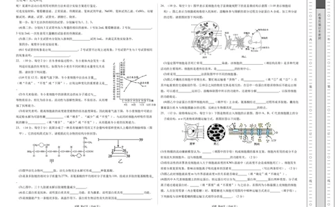 高一生物期中模拟卷02测试范围：人教版2019第1~4章（考试版A3）（新高考通用）_1多考区联考试卷_1014高一期中模拟卷（新高考通用）黄金卷：2024-2025学年高一上学期期中模拟考试