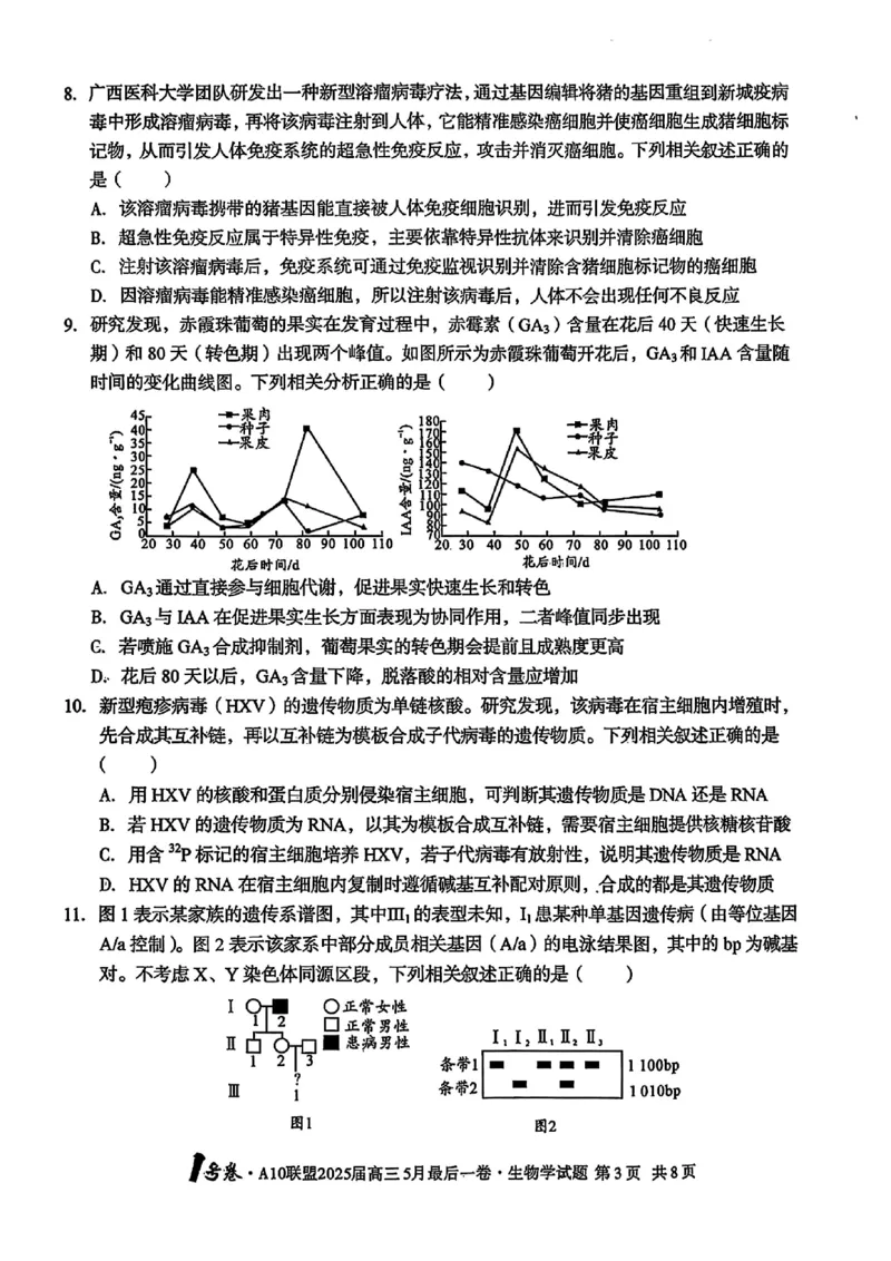 1号卷&middot;A10联盟2025届高三5月最后一卷生物_2025年5月_250519安徽省1号卷&middot;A10联盟2025届高三5月最后一卷（全科）