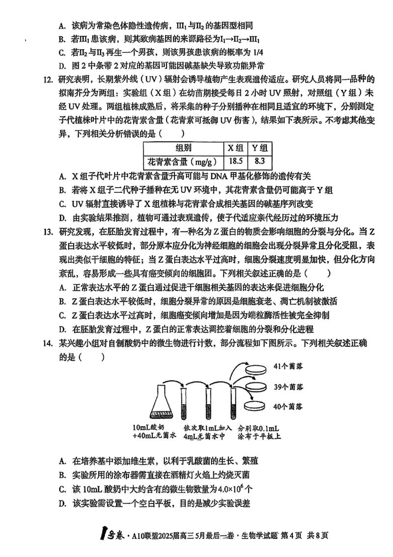 1号卷&middot;A10联盟2025届高三5月最后一卷生物_2025年5月_250519安徽省1号卷&middot;A10联盟2025届高三5月最后一卷（全科）