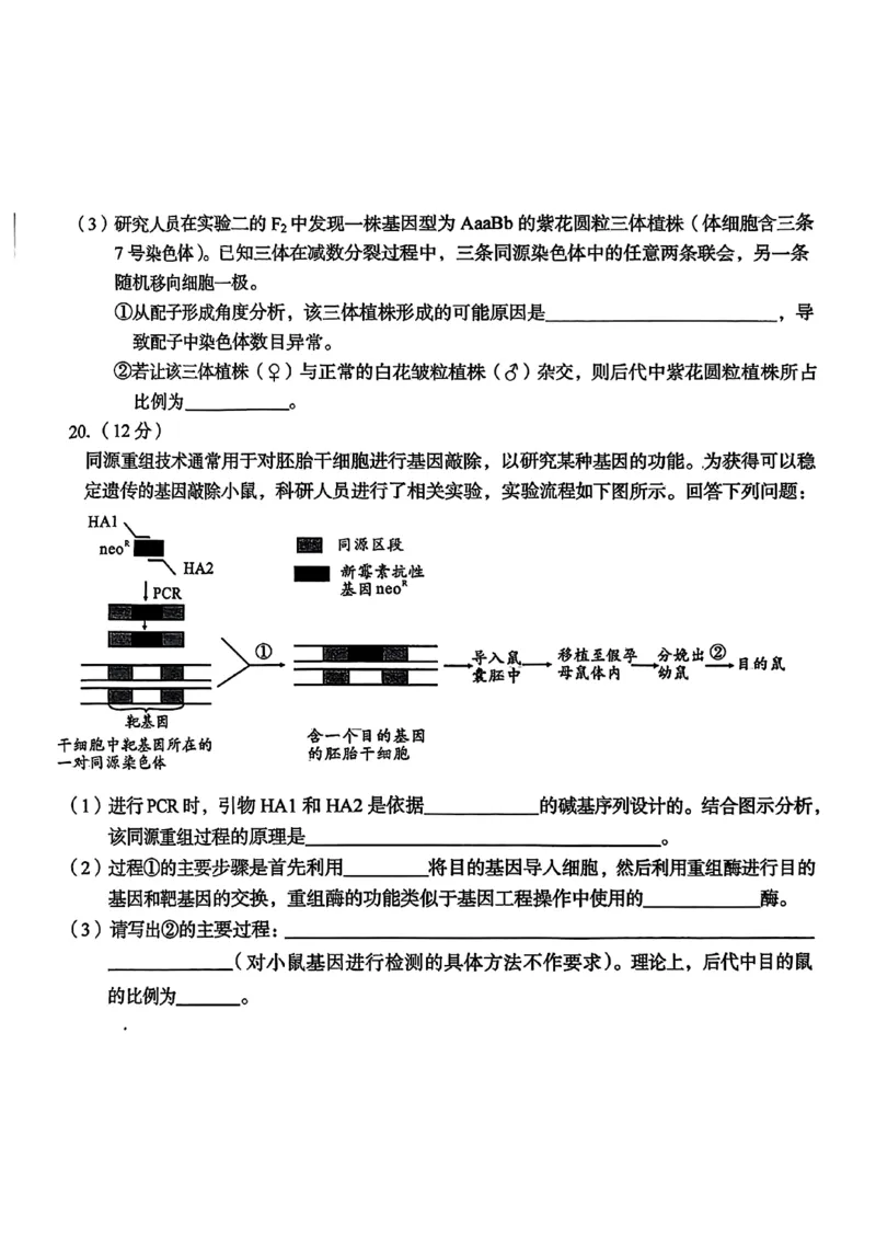 1号卷&middot;A10联盟2025届高三5月最后一卷生物_2025年5月_250519安徽省1号卷&middot;A10联盟2025届高三5月最后一卷（全科）