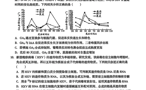 1号卷&middot;A10联盟2025届高三5月最后一卷生物_2025年5月_250519安徽省1号卷&middot;A10联盟2025届高三5月最后一卷（全科）