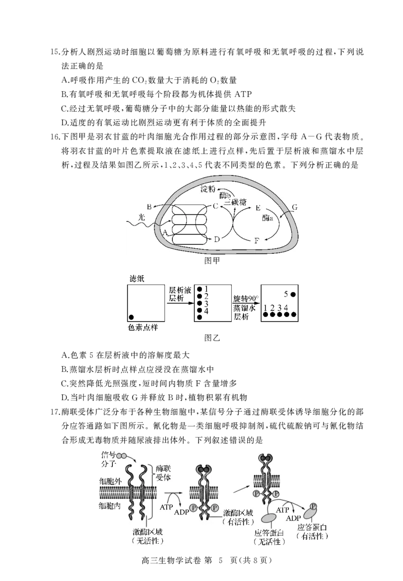 2026届湖北省黄冈九调生物试题_2025年9月_250918湖北省黄冈市2025年高三9月起点考试（全科）_26届高三黄冈九调