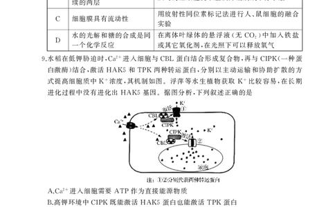 2026届湖北省黄冈九调生物试题_2025年9月_250918湖北省黄冈市2025年高三9月起点考试（全科）_26届高三黄冈九调