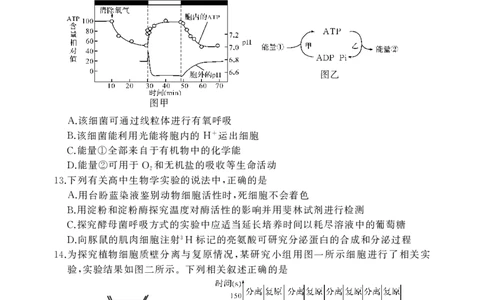 2026届湖北省黄冈九调生物试题_2025年9月_250918湖北省黄冈市2025年高三9月起点考试（全科）_26届高三黄冈九调