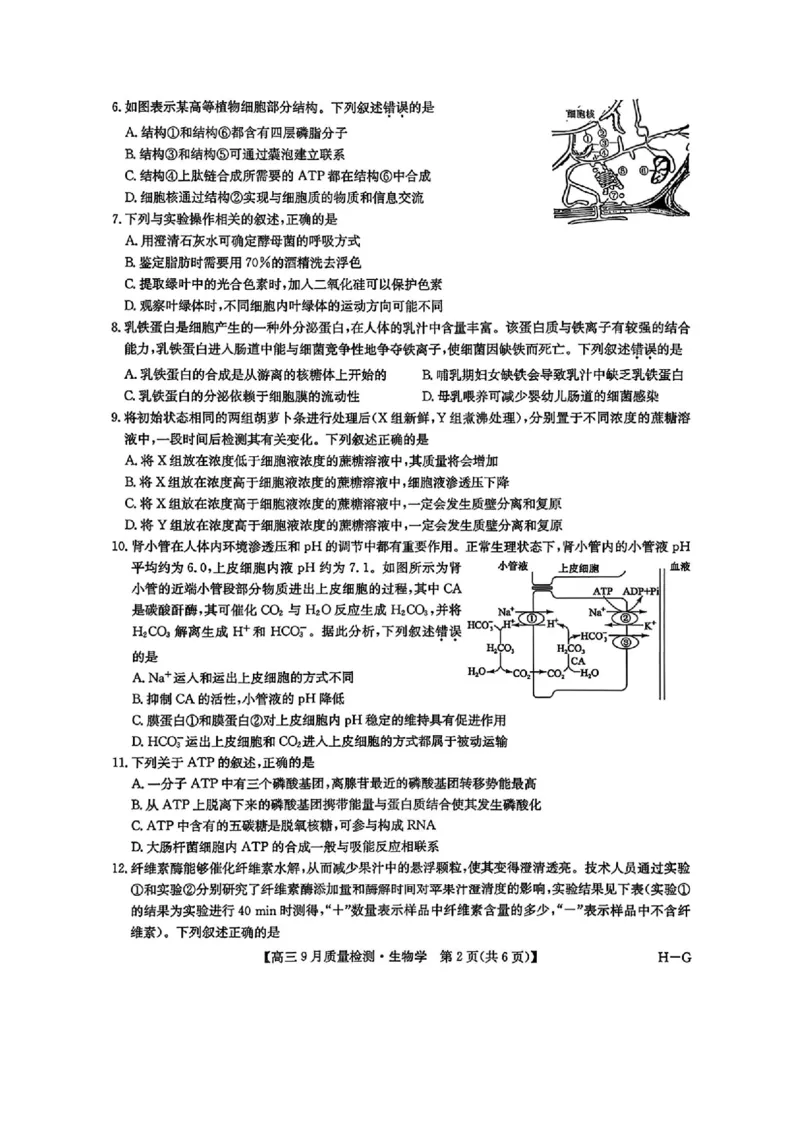 2026九师联盟高三10月10联考生物试卷（含答案）_2025年10月_2510122026九师联盟高三10月10联考（全科）