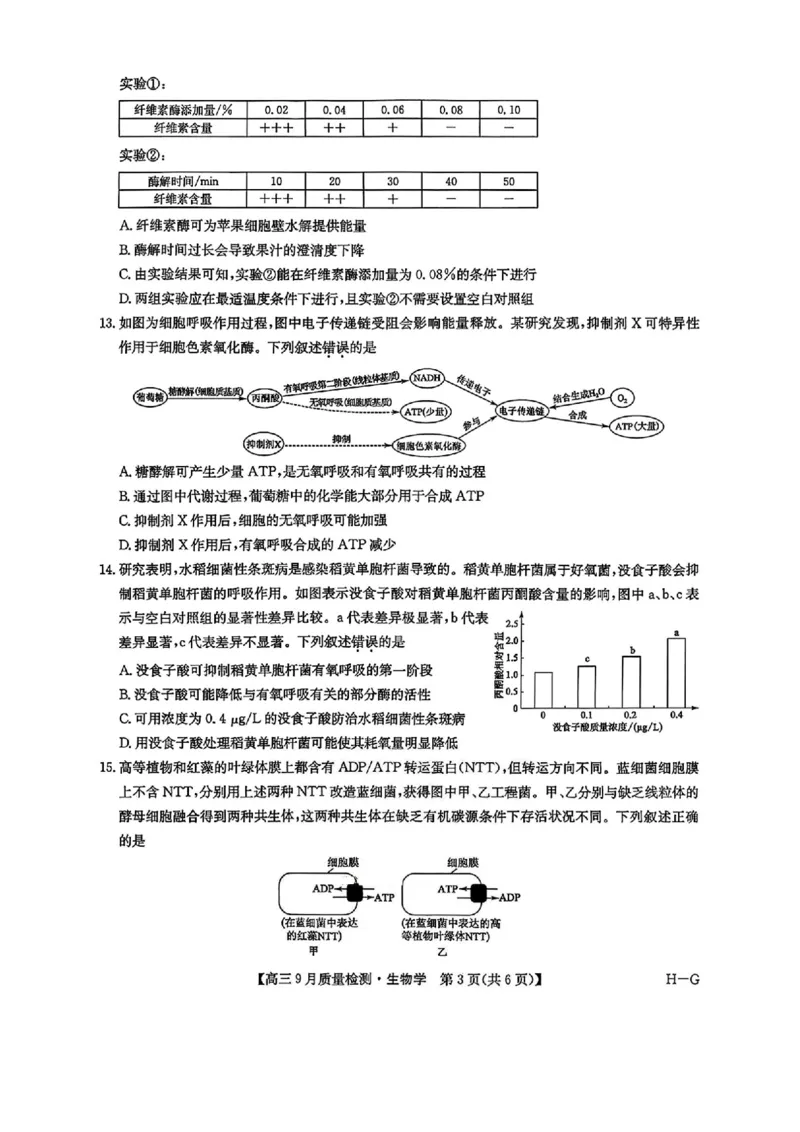 2026九师联盟高三10月10联考生物试卷（含答案）_2025年10月_2510122026九师联盟高三10月10联考（全科）
