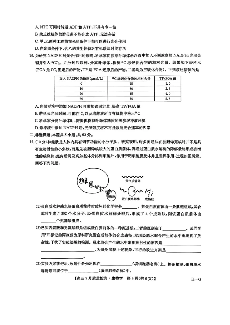 2026九师联盟高三10月10联考生物试卷（含答案）_2025年10月_2510122026九师联盟高三10月10联考（全科）