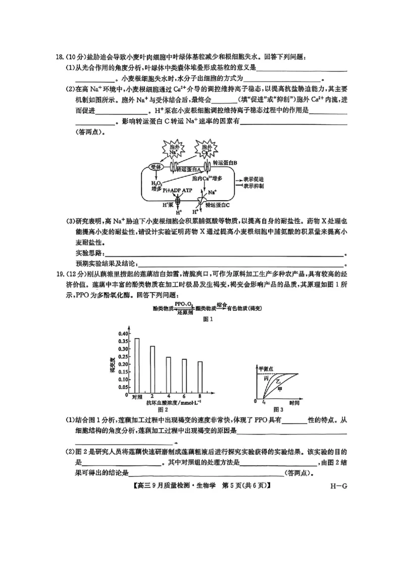 2026九师联盟高三10月10联考生物试卷（含答案）_2025年10月_2510122026九师联盟高三10月10联考（全科）
