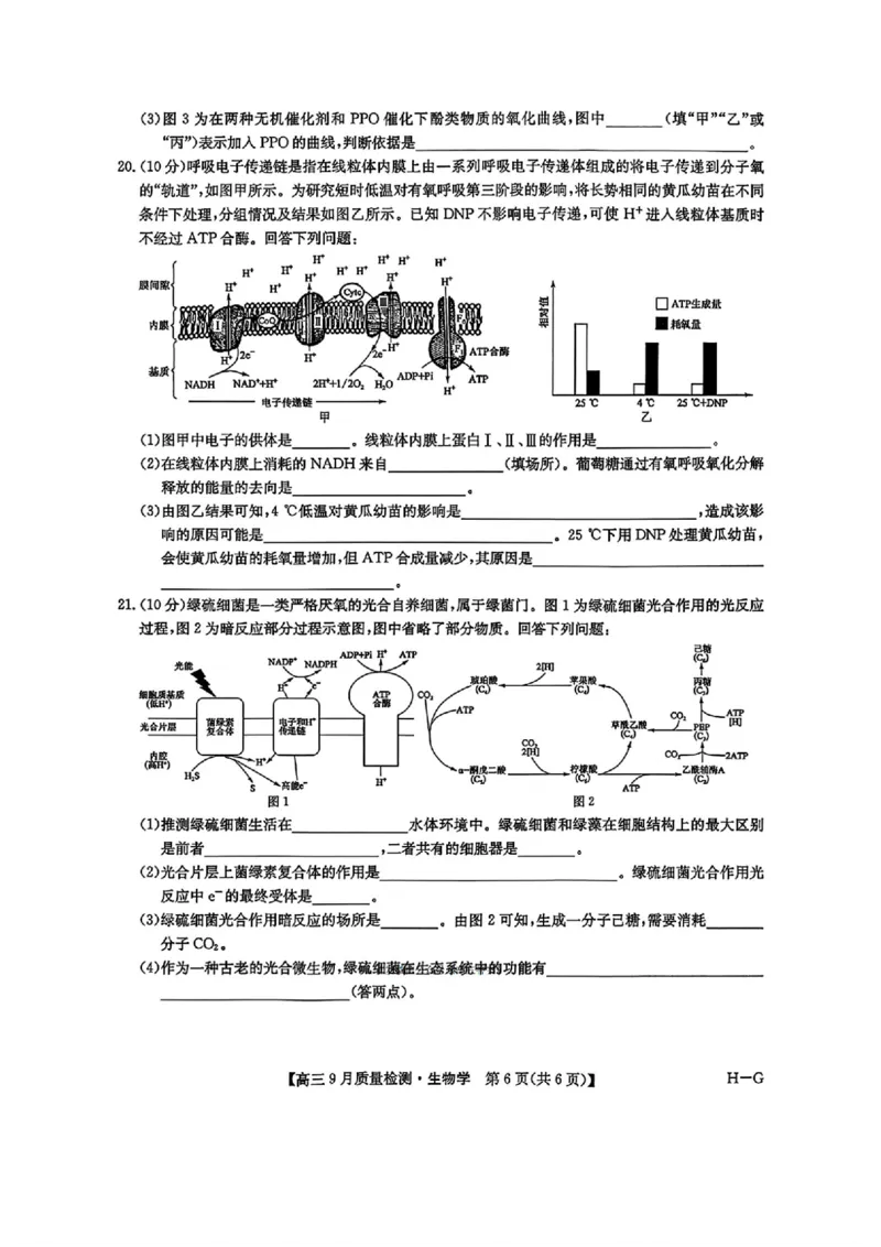 2026九师联盟高三10月10联考生物试卷（含答案）_2025年10月_2510122026九师联盟高三10月10联考（全科）