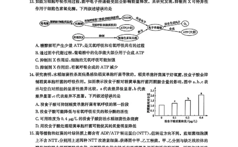 2026九师联盟高三10月10联考生物试卷（含答案）_2025年10月_2510122026九师联盟高三10月10联考（全科）