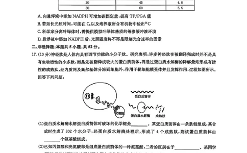 2026九师联盟高三10月10联考生物试卷（含答案）_2025年10月_2510122026九师联盟高三10月10联考（全科）