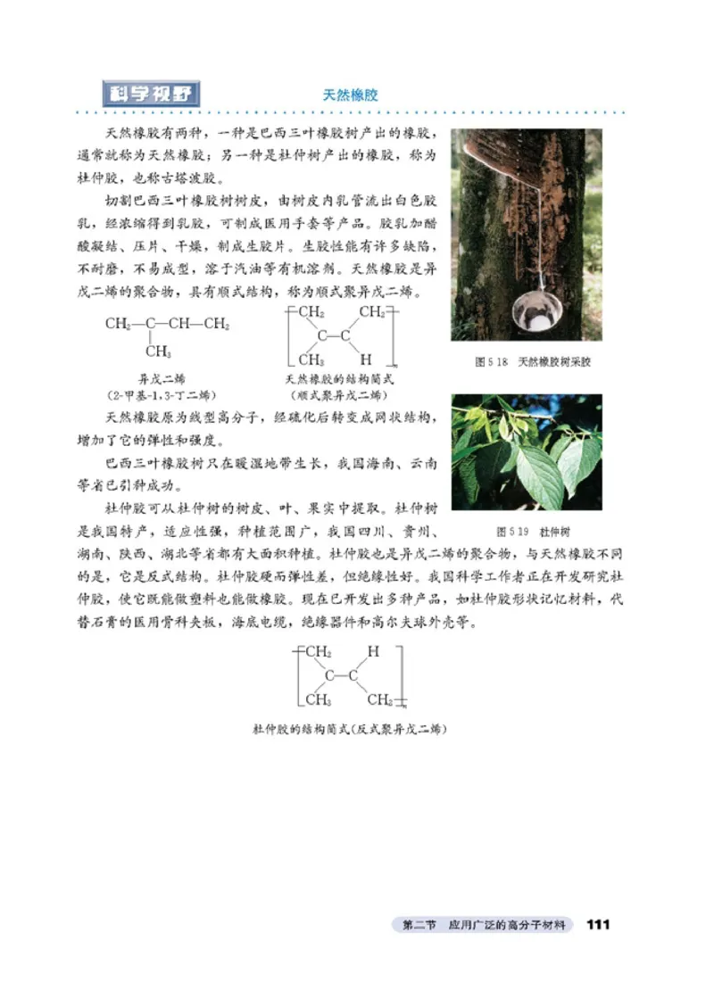 高中化学选修5有机化学基础_4-教培资料-26年最新资料-同步更新_初中高中教资_03科三专项（进去保存报考的学科即可）_02科三专项（笔记真题思维导图教学设计版本二）