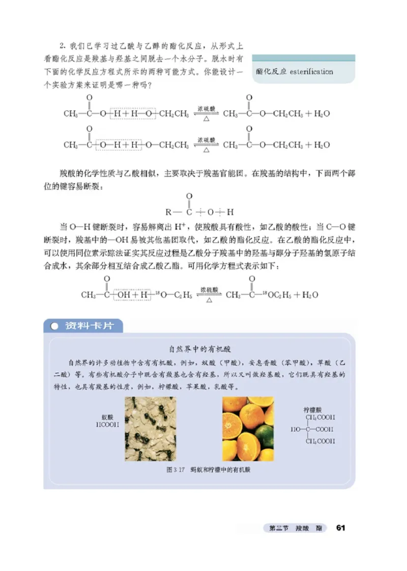 高中化学选修5有机化学基础_4-教培资料-26年最新资料-同步更新_初中高中教资_03科三专项（进去保存报考的学科即可）_02科三专项（笔记真题思维导图教学设计版本二）