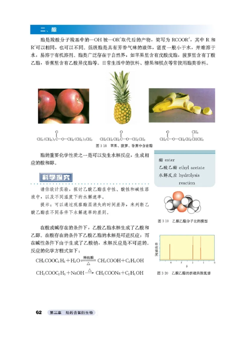 高中化学选修5有机化学基础_4-教培资料-26年最新资料-同步更新_初中高中教资_03科三专项（进去保存报考的学科即可）_02科三专项（笔记真题思维导图教学设计版本二）